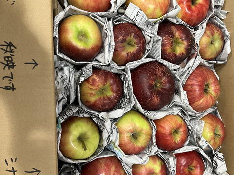 季節のリンゴ食べくらべ　訳あり家庭用（約4.5㎏）10～20玉
サンふじ、ぐんま名月など、2種類からお届け　
大きさ、形やキズなどで贈答用になれなかったりんごたちをバラ詰めで　信州長野県産
