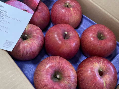 生玉農園一番人気の美味しいりんご！ 家庭用 信州りんご🍎 葉とらず サンふじ 3キロ箱 7～11玉