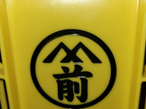 和歌山県産(かつらぎ町)　吊るし柿