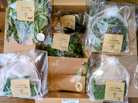 【セット商品Ａ】◆ハーブセット◆ハーブ、和ハーブ5種のセット◆ローリエ 🌿ペパーミント🌿アップルミント🌿ローズマリー🌿オリーブの葉🌿☆自然栽培