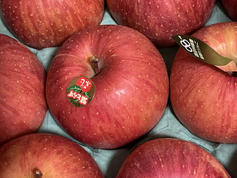 個性派りんご🍎葉隠れサンふじ  冬ギフトにもどうぞ（9個～12個）3キロ箱使用