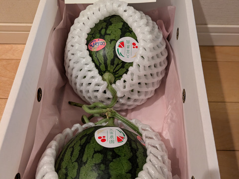 【毎年大人気】熊本県植木産スイカ！小玉スイカ2個入(ひとりじめ）3.8kg~5.0kg
