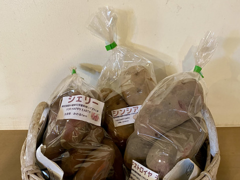 ちょっと珍しいじゃがいも１キロ×３種セット　農薬化学肥料不使用