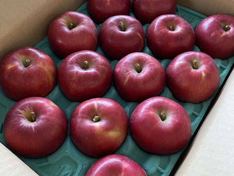発送中🍎紅玉 3キロ箱【有名パティシエ鎧塚さんが紅玉でタルトタタンのレシピ&動画公開！！】 加工もおすすめ6玉〜15玉サイズ 商品ID42918 長野県 信州 安曇野 リンゴ