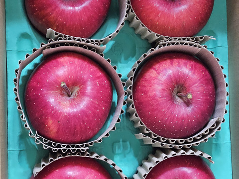 【蜜入保証】【サンふじ】（2kg・9～10個入り）パリパリ・ジューシーお得な家庭用