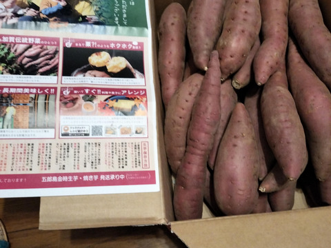不揃い品！五郎島金時（さつまいも）5ｋｇ