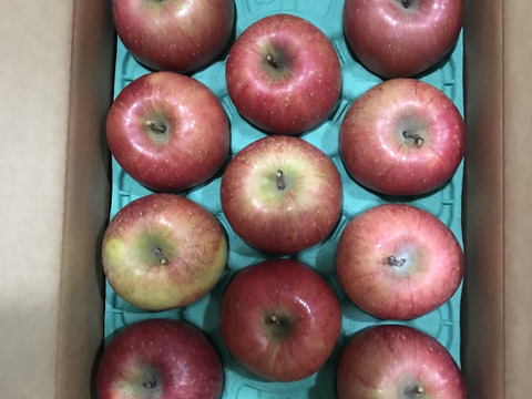 【夜市限定】大玉から順に発送‼️とことん味にこだわりました💪😊🍎青森県産葉取らず完熟ふじ3キロ。