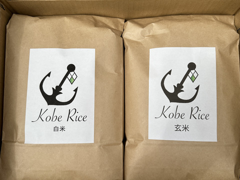 キラッ☆キラの炊き上がり2023年収穫米
"Kobe Rice" 神戸で穫れたお米５kg＋５kg、
白米/玄米などご要望に合わせ詰め合わせ可能。
コメントでご指示ください。土日出荷限定.