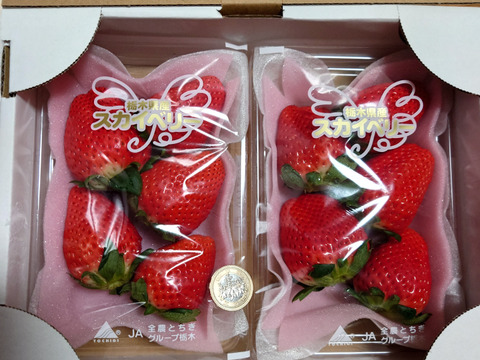 完熟スカイベリー