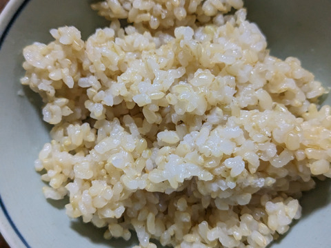 農薬化学肥料未使用玄米ヒノヒカリ20kg