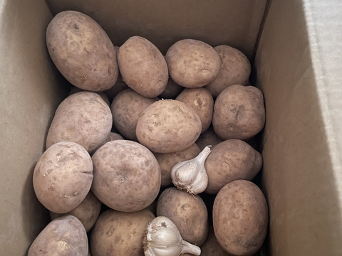 【有機JAS認証取得】2026/02掘りたて！ニシユタカ　5kgドイツ人フランクさんのこだわりオーガニックジャガイモ🥔🌱✨ Organic potatoes