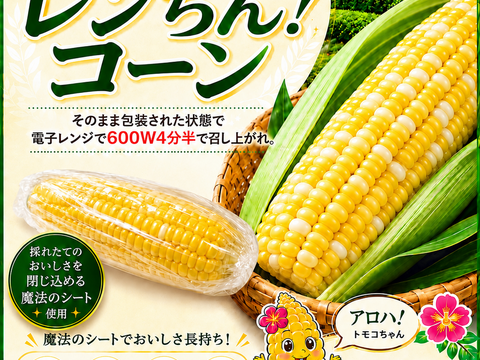 【朝どれ】『アロハ🤙でレンちん！コーンバイカラ』8〜10本【6月初旬から早期発送】※採れたて続く魔法のシートで全国発送でも朝どれ鮮度のトウモロコシを！