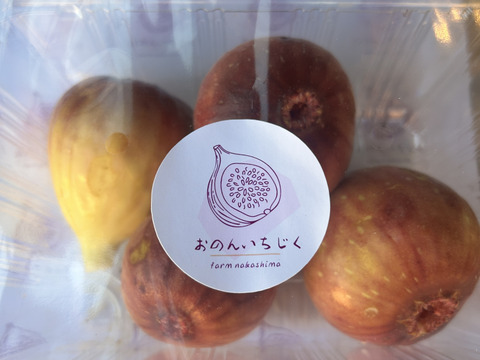 【期間限定値下げ】完熟朝採れ✨ねっとりあま〜い『おのんいちじく』1kg