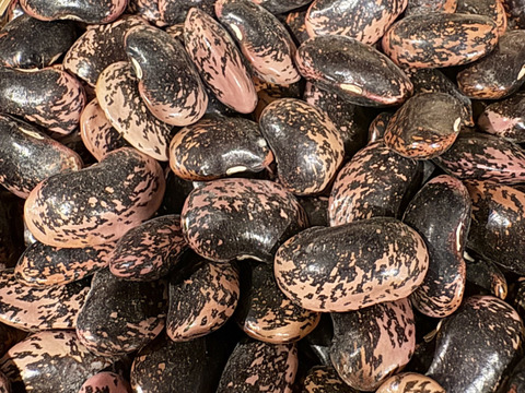 紫花豆🫘【北海道産】農薬化学肥料･除草剤不使用🫘300g☺️メール便