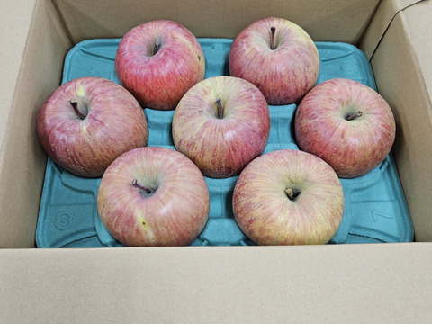 【毎年１万箱以上売れてます】約３キロ 青森県産りんご「樹上完熟葉とらずふじ」家庭用厳選品