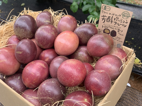 🌺訳あり数量限定《 はねだしセット 》
【有機JAS認証】オーガニック芳醇パッションフルーツ/『はねだし3kg¥6500』/そのまま食べてもお菓子づくりや加工にも◎/30個〜50個/傷シワ色むら