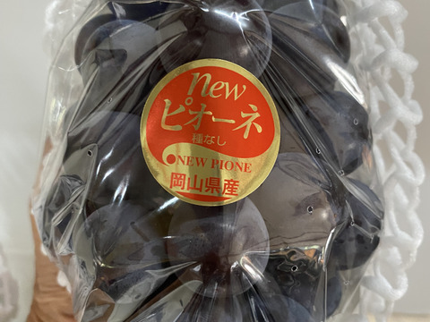 不揃い ニューピオーネ 2~3房1.2kg