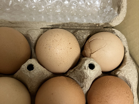 定期注文用【単なる平飼いではない究極の卵】わたしたちのぷらいどたまご（30個入ケース）