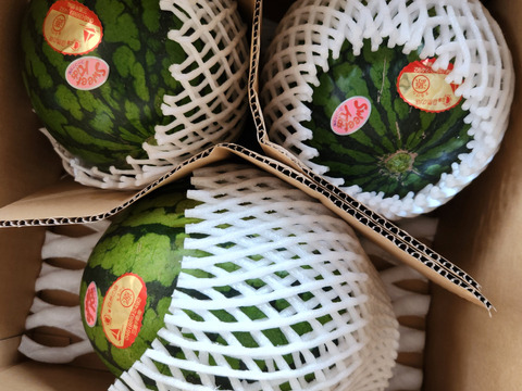 シャリアマ！　小玉スイカ3~4個入り