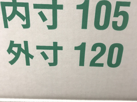 【販売開始致しました！】青森県産りんご「ぐんま名月」家庭用 キズ有 約10kg(5kg×2箱)【光センサー選果】