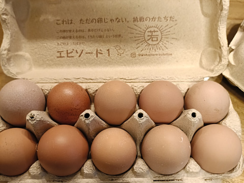 放牧卵！若のレボリューション！海外飼料不使用、自家製発酵飼料