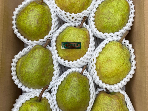 ★数量限定★スーパーラフランス【贈答用】（とろけるように甘い）ラフランス3kg箱