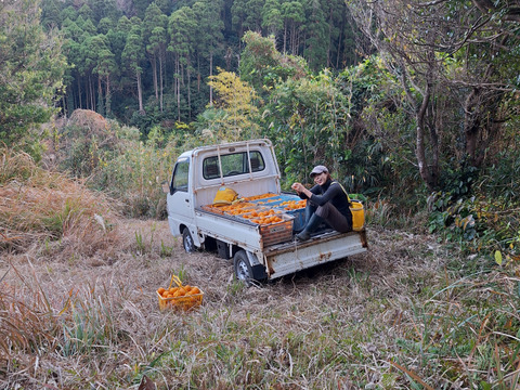 お猿さんから守れ！レスキューたんかん　６キロ