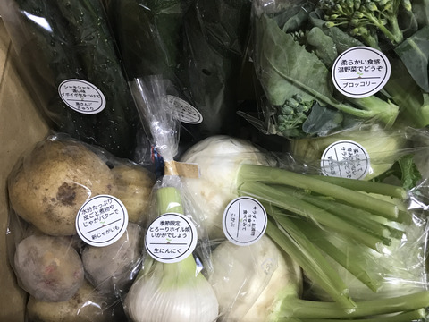 お野菜です詰め合わせ120サイズ - メルカリ