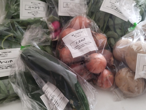 ふたばたけ　畑から直送！　農薬不使用！　旬のこだわり野菜セット　７～１０種類