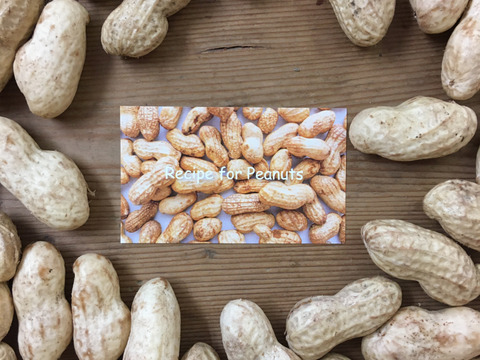 [1kg]【１１月まで収穫期間延長中！】食べ始めたら止まらない♩茹でたてホクホク！手のひらサイズの生落花生「おおまさり」（1kg）