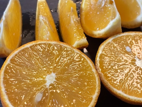 鹿児島県産　木なり完熟の福原オレンジ！２ｋｇ