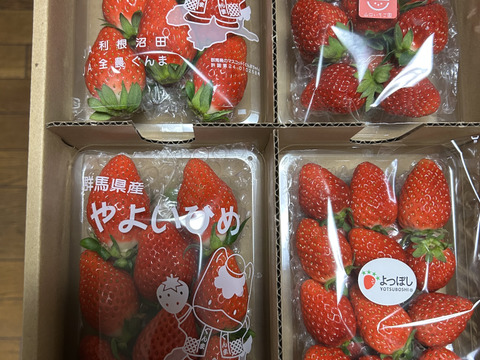 【おまかせ食べ比べ】いちご たっぷり1kg！やよいひめ•よつぼし•おいCベリーから、採れたての新鮮ないちごを2、3品種、サイズおまかせでお届け！甘さ、味の違いを楽しんで！