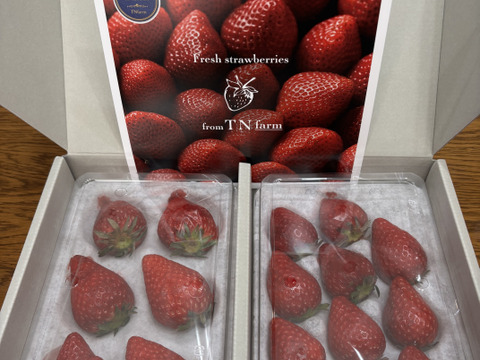 【いちごグランプリ2026銀賞】完熟ほしうらら！！数量限定！２4０g×２P 順次発送！！