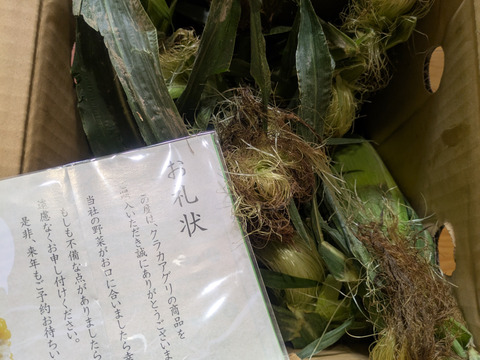 【収穫始まりました！順次発送中！】晴れの国岡山県産！太陽の恵みたっぷりでメロンより甘い！朝どれフルーツコーン10本+おまけ1本の11本セット【朝どれ】