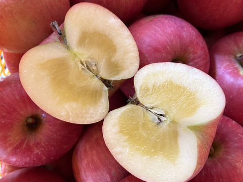 幻の蜜りんご‼️山形県産こうとく【特秀3キロ】