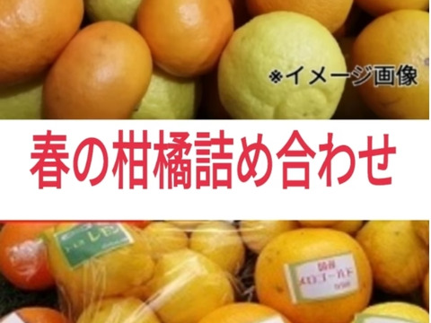 3月）春爛漫よくばりセット