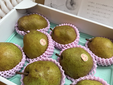 農薬節減 希少!! ずっしり 大玉 ラフランス 約3kg 約8玉〜10玉 ギフト4L 5L !! 【11月上旬〜】