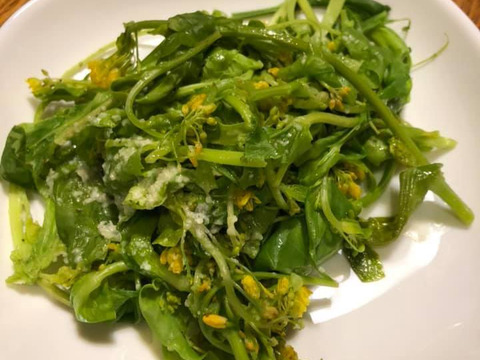 貴重！春のお目覚め＊冬越え・菜花のつぼみ800ｇ
～農薬/化学肥料・不使用