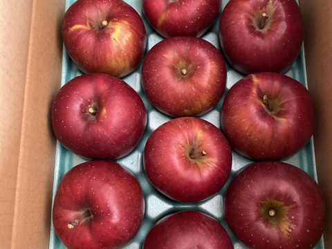 ≪出荷中≫幻のりんご【あいかの香り】約3kg