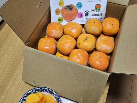 【秋の味覚】和歌山県産　たね無し柿(刀根早生)　訳ありM~2Lサイズ　5kg。【500円割引】