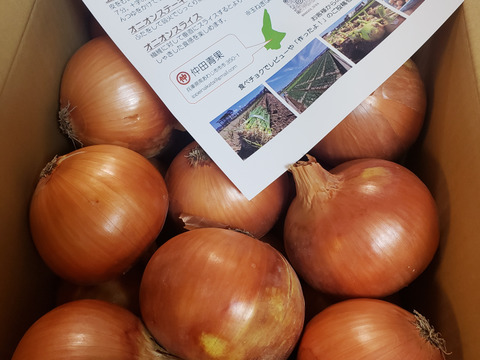 【野菜ソムリエサミット金賞🏆】淡路島玉ねぎ10kg