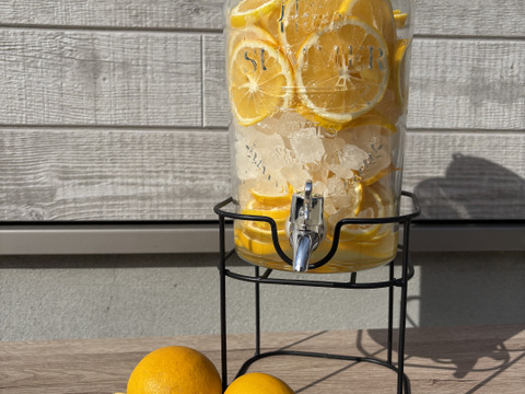 佐賀県太良町産はるかとレモン混合1.3kg【2種類食べ比べ＆お試しセット】