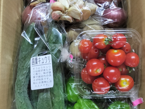 フードレスキュー 農園自慢の夏野菜セット4種・8袋☆パチャママ農園