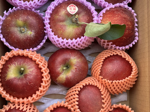 【クール便】紅玉❗️秋映詰合せ❗️3kg箱  信州りんご