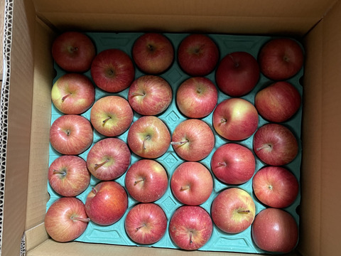 青森県産ミニサンふじ　5キロ