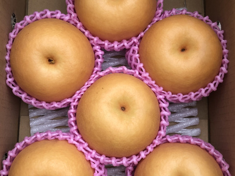 糖度13度以上でお届け！新興3キロ(5〜7玉)