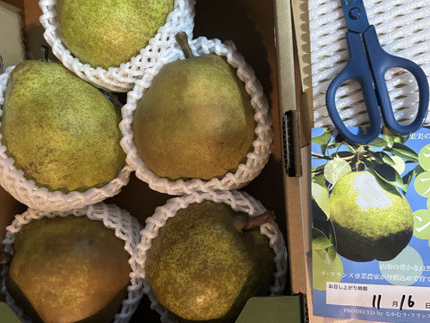 【ラフランス専業農家が贈る🍐】ラ・フランス 訳あり２kg４〜７玉入り　２Lサイズ以上のみ！【規格外】