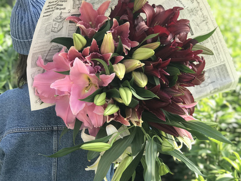 【母の日ギフト】thanks bouquet ピンク
早期ご予約特典は2つ!【20名限定】ご注文頂いた方の中から抽選で1名様に
「YOUR LILIY」ユリさんの作品集をプレゼント!!