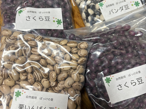 【選べる4種】ぽっけの新豆セット【北海道自然栽培】メール便