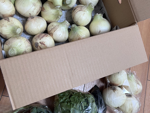 大好評，地層が違う淡路島、訳あり新玉ねぎスーパーアップ３キロ(風袋込み)